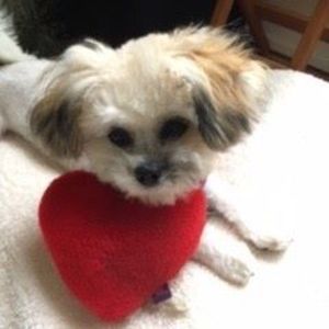 Meet your Posher, Leah